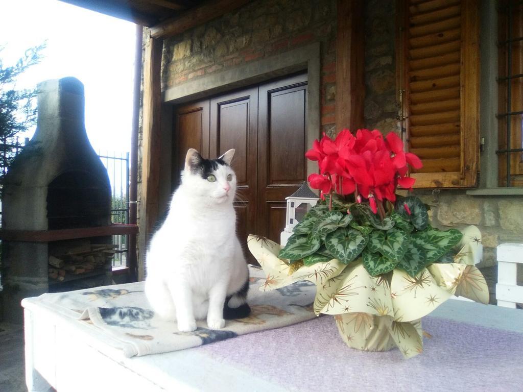 A Casa Di Raffa Hotel Pergine Valdarno ภายนอก รูปภาพ
